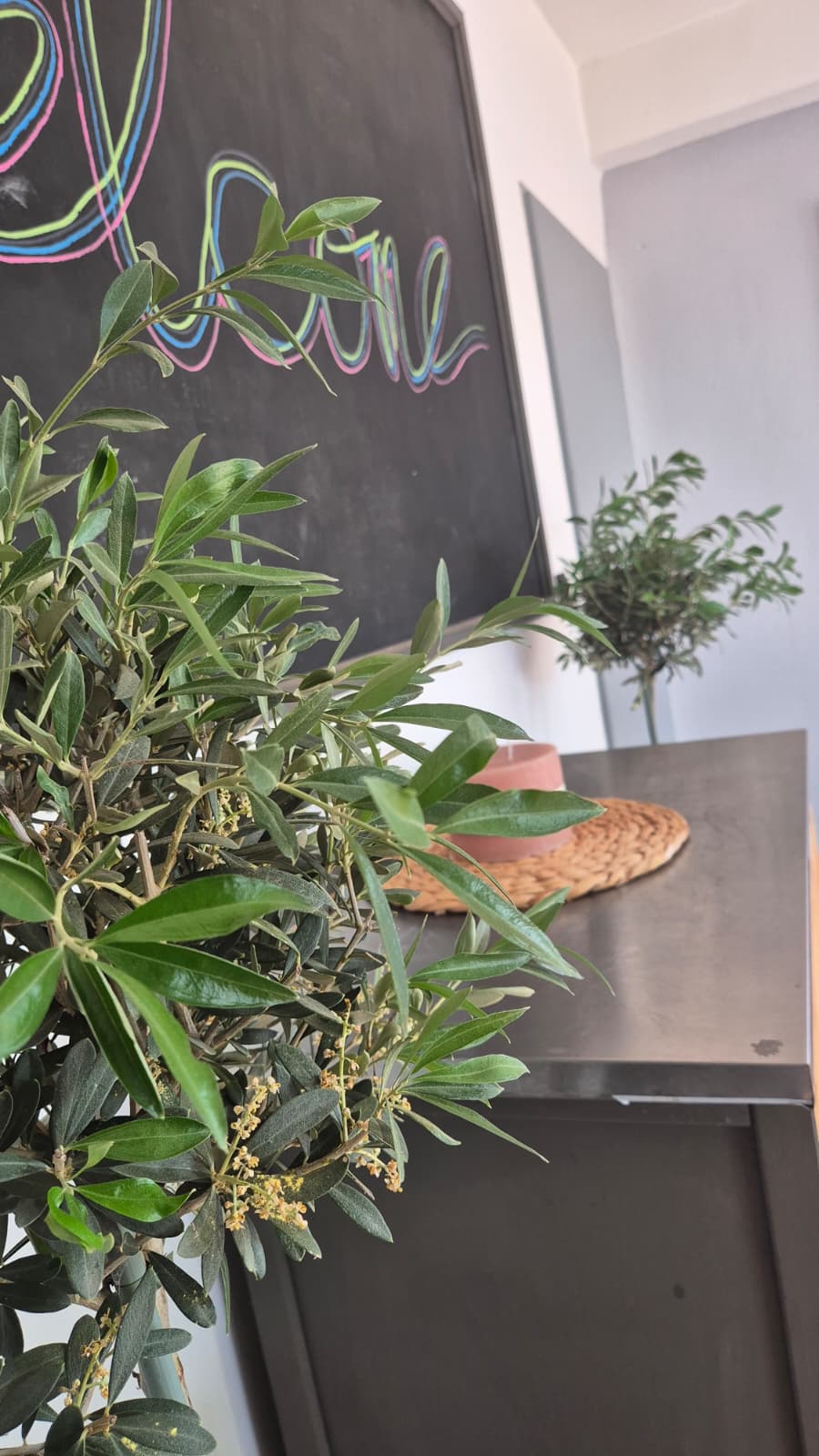 Innenbereich der Taverna Mediterranea